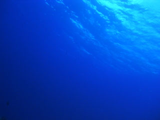 青い海
