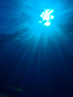 水中太陽
