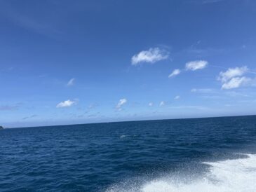 自然界の厳しさ