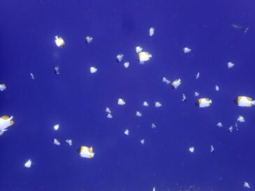 穏やか、最高～♪