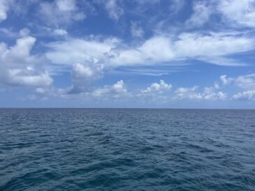 良い天気