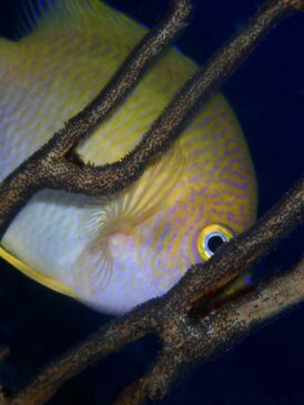 なんだか落ち着きがない様子…
