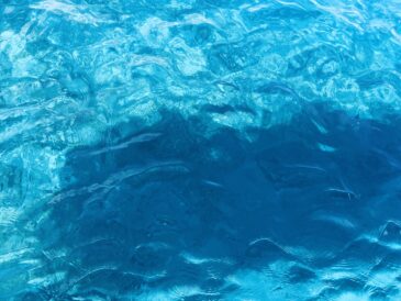 気入れた写真達