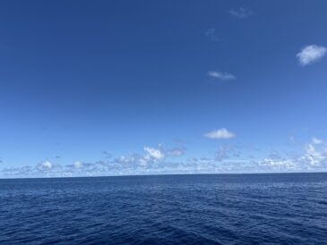 どっちもどっち
