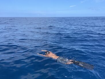 夏の海を堪能♪