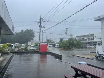 ほぼ台風