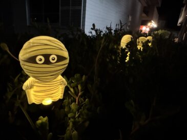 ハロウィンだそうです