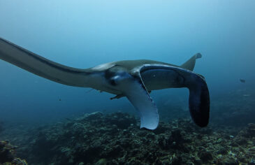 今日はこのくらいにしておいてやるか