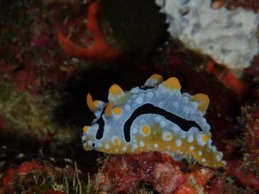 ギリギリセーフ♪