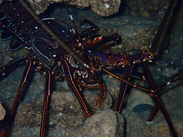 海水があったかい