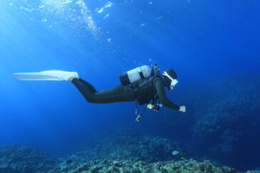 調査ダイブ
