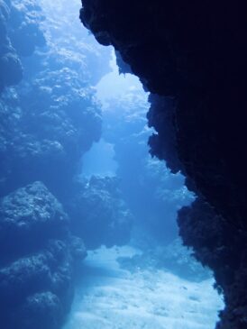 じわっと水温低下