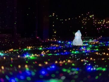 キラキラ好きにはたまらない