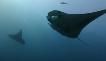 当たり前じゃないですからね