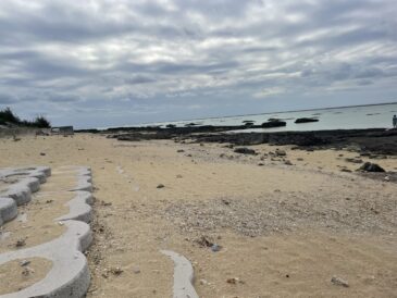空はどんよりメリークリスマス