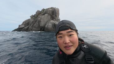 久しぶりにじっくり♪