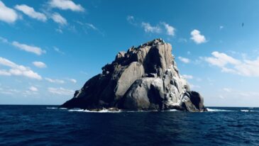 水キレイ×太陽×群れ