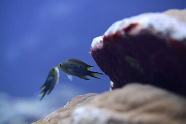 2026年の海はまだおあずけ