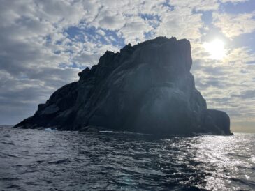 良い海だった～