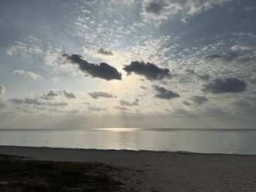 ツヤピカすべすべ