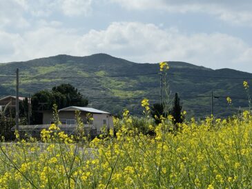 紫外線対策してる？