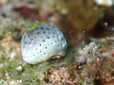 勝手に久しぶり気分