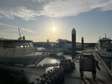 頭では分かっていても