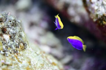 気持ち良くないわけがない