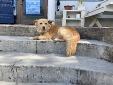 とっても気持ちいい～