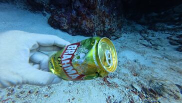 なんとか潜れました～