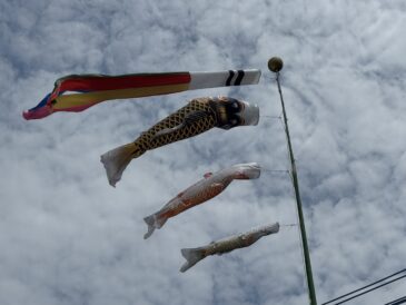 何枚あっても多分良い