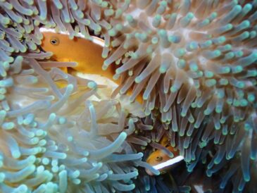 やっぱり晴れが最強