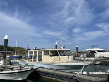 勝手に感慨深く