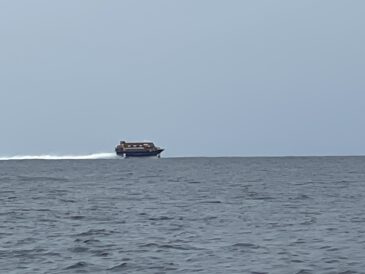 どんよりだけど穏やか