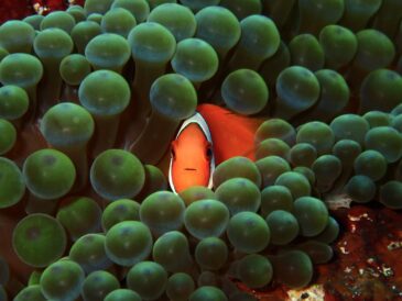 良い方向にハズレ♪