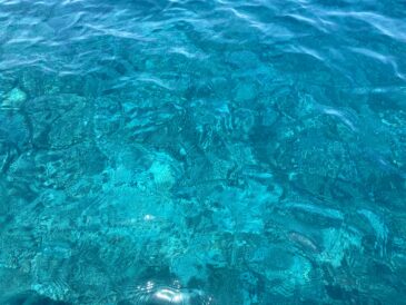 じわじわと暖かさが…！！