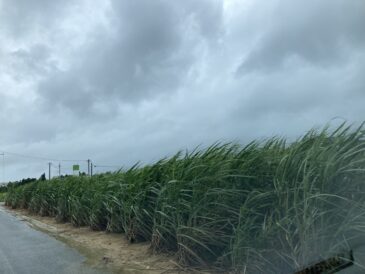 VS 梅雨の不安定な天気