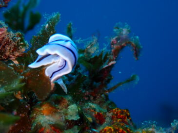 風が弱くなってきた
