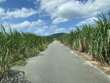ミニトーーク！