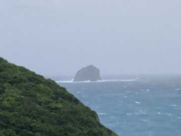 今日も今日とて